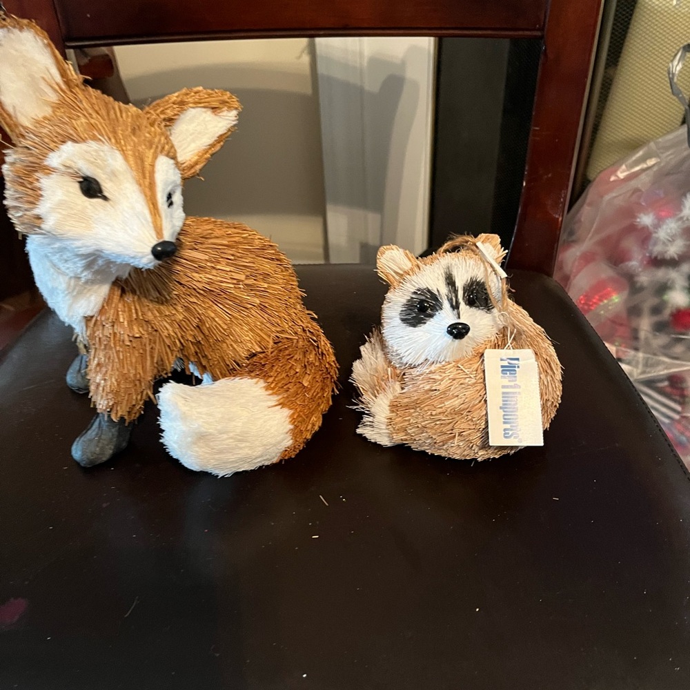 Baby raccoon and young fox